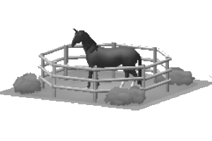 Horse corral