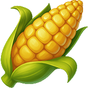corn